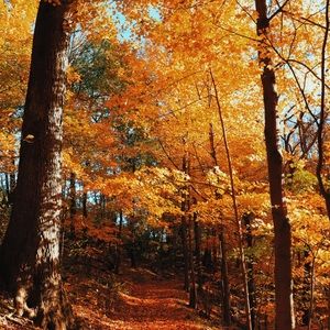 Meet your Posher, Isabelle